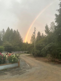 Garden / Landscaping Photo of 9328 Larkspur Avenue, Mission, BC
