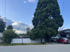 12473 114 Avenue, Surrey, BC