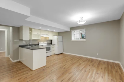 Basement Recreation Room Photo of 6847 196b Street, Langley, BC
