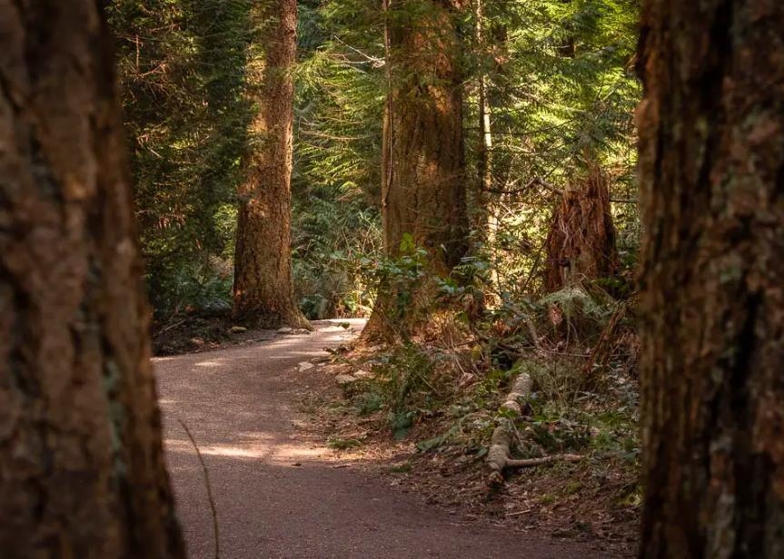 Fitness Center Photo Near 301 5775 Hampton Place, Vancouver, BC
