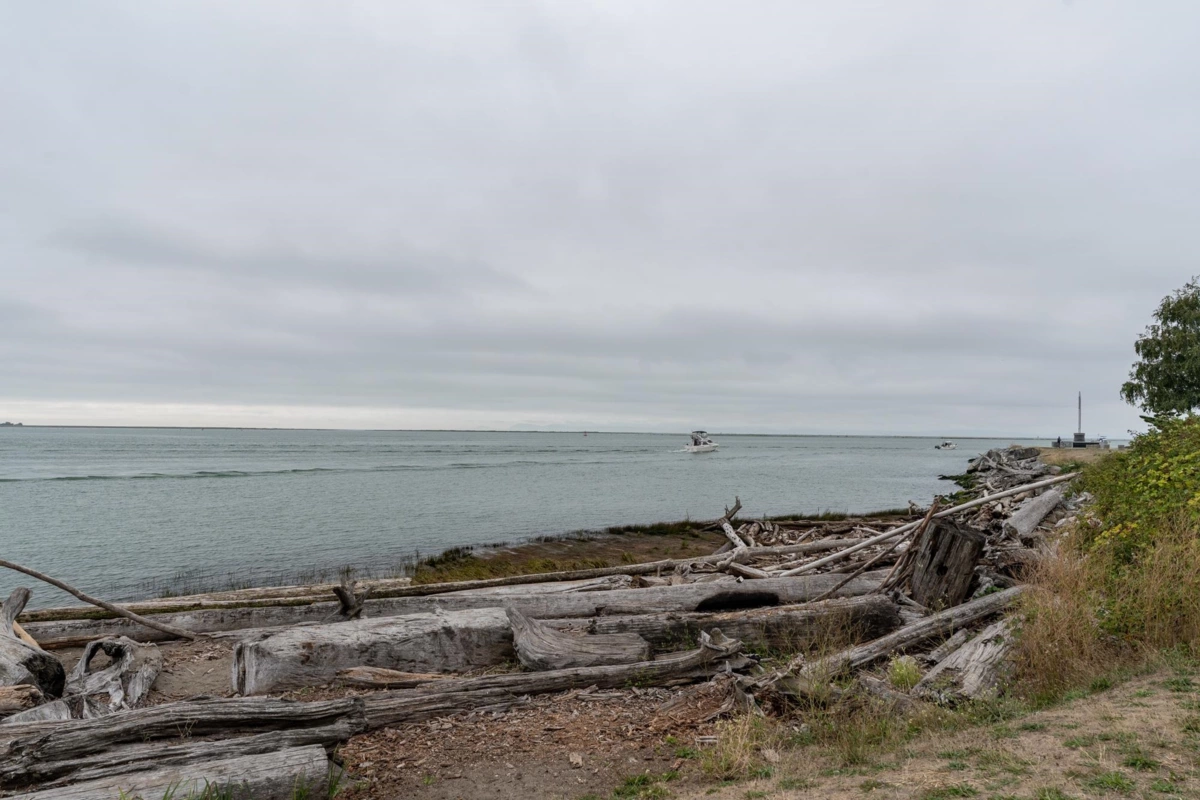 Outdoor Kitchen Photo of 3171 Chatham Street, Richmond, BC