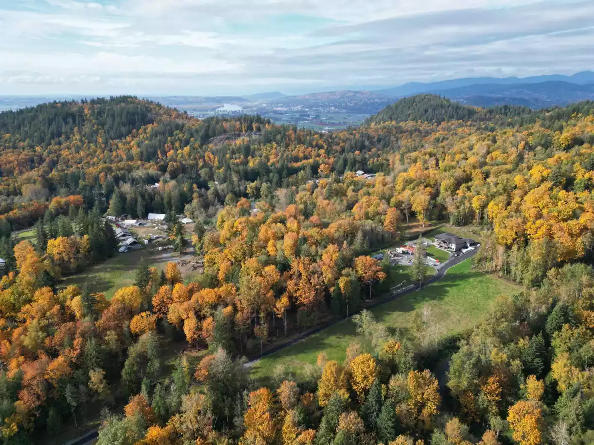 Walk-In Closet Photo of 36413 Dawson Road, Abbotsford, BC