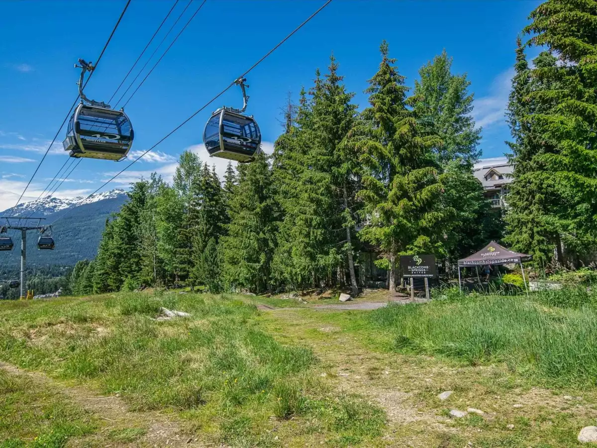 Laundry Room Photo of 422 4899 Painted Cliff Road, Whistler, BC