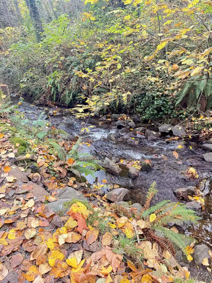 Staircase Photo of 2082 Springer Avenue, Burnaby, BC