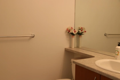 Laundry Room Photo of 18 12040 68 Avenue, Surrey, BC