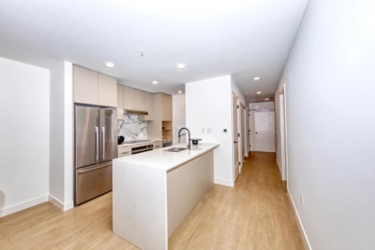 368 422 E 3rd Street, North Vancouver, BC