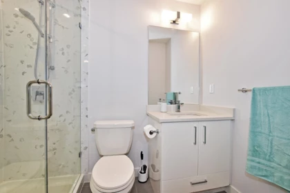 Walk-In Closet Photo of 217 32690 14 Avenue, Mission, BC