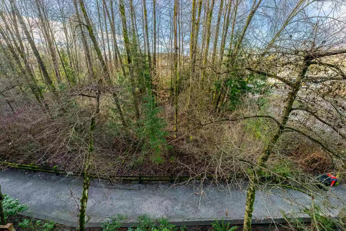 Powder Room Photo of 310 101 Morrissey Road, Port Moody, BC