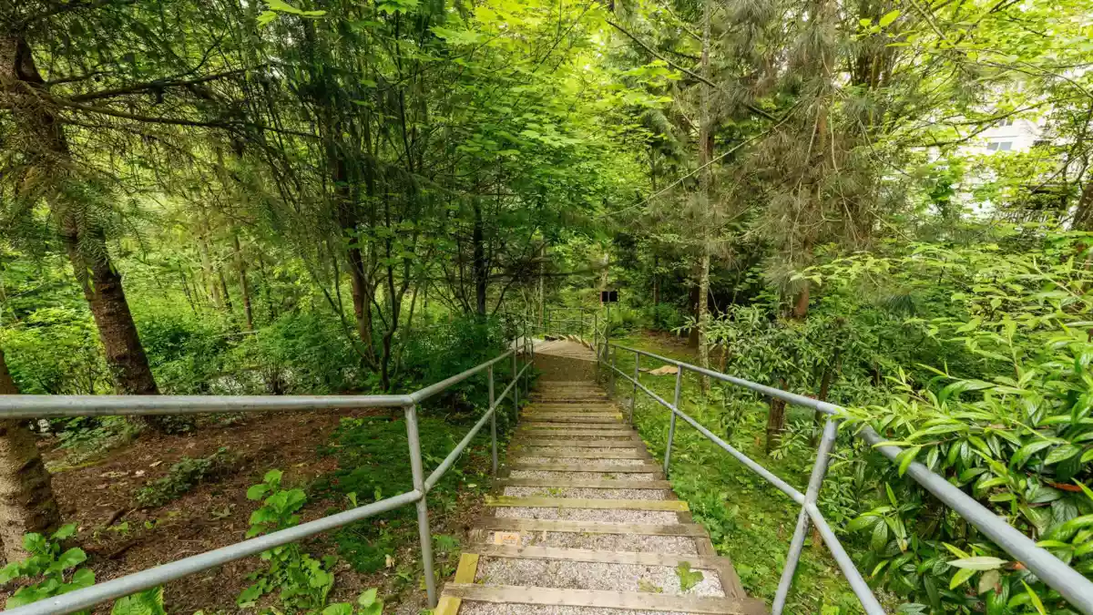 Outdoor Patio Photo of 309 11665 Haney Bypass, Maple Ridge, BC