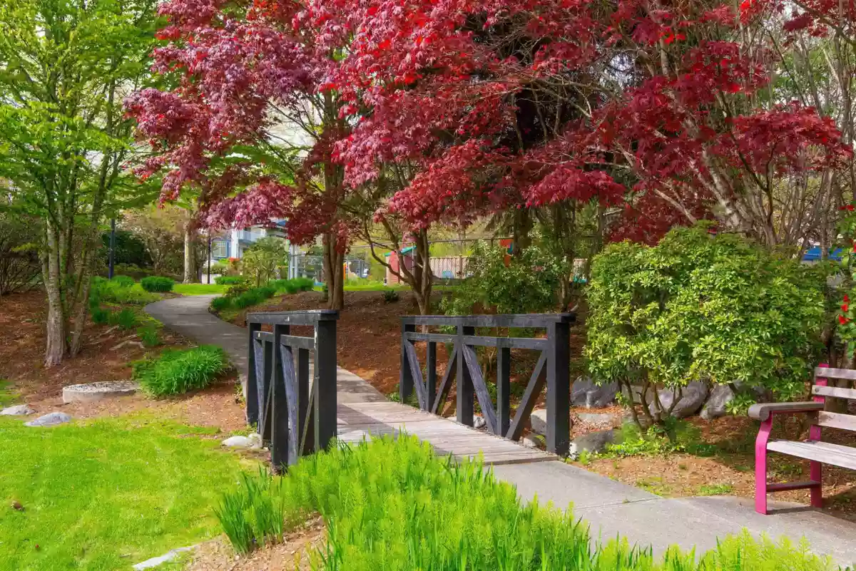 Neighborhood Park Photo Near 503 11605 227 Street, Maple Ridge, BC