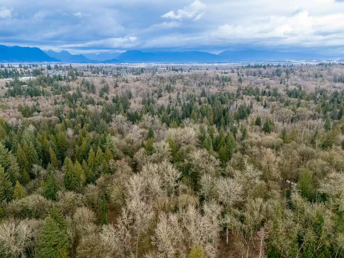 Garden / Landscaping Photo of 22 9718 161a Street, Surrey, BC