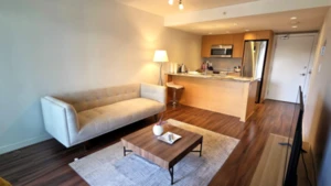 419 135 E 17th Street, North Vancouver, BC