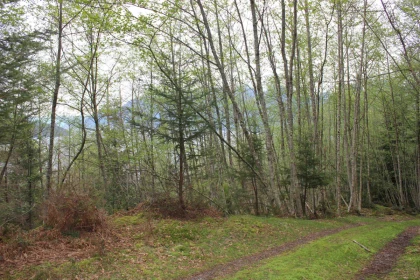 LOT 19 Smugglers Cove Road, Bowen Island, BC, Bowen Island — Land for sale