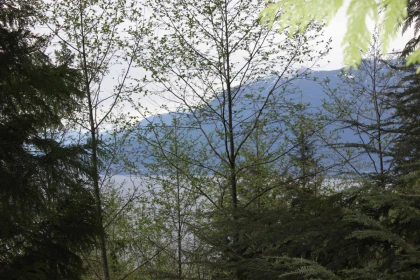 Pantry Photo of LOT 19 Smugglers Cove Road, Bowen Island, BC