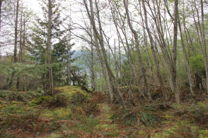 Primary Bedroom Photo of LOT 19 Smugglers Cove Road, Bowen Island, BC