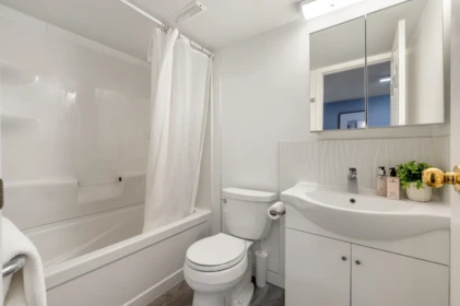 Hot Tub / Spa Photo of 2983 Albion Drive, Coquitlam, BC