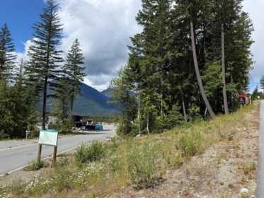 8203 Merlot Peak Drive, Pemberton, BC, Pemberton — Land for sale