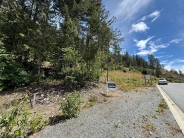 8203 Merlot Peak Drive, Pemberton, BC, Pemberton — Land for sale