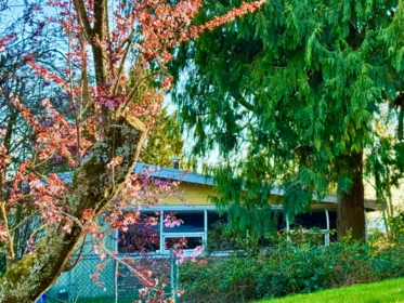 990 Balsam Street, White Rock, BC, White Rock — Single Family Residence for sale