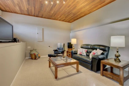 Basement Recreation Room Photo of 60 Walton Way, Port Moody, BC