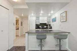 309 928 Beatty Street, Vancouver, BC