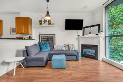 Basement Recreation Room Photo of 307 928 W Richards Street Street, Vancouver, BC