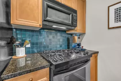 Primary Bedroom Photo of 307 928 W Richards Street Street, Vancouver, BC