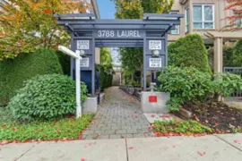 15 3788 Laurel Street, Burnaby, BC