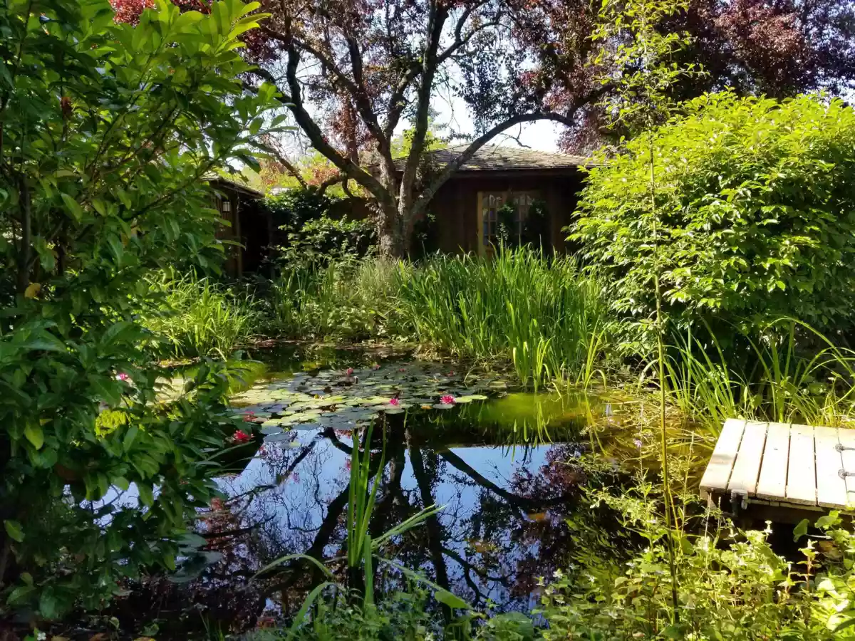 Neighborhood Park Photo Near 23-D 134 Madrona Road, Galiano Island, BC