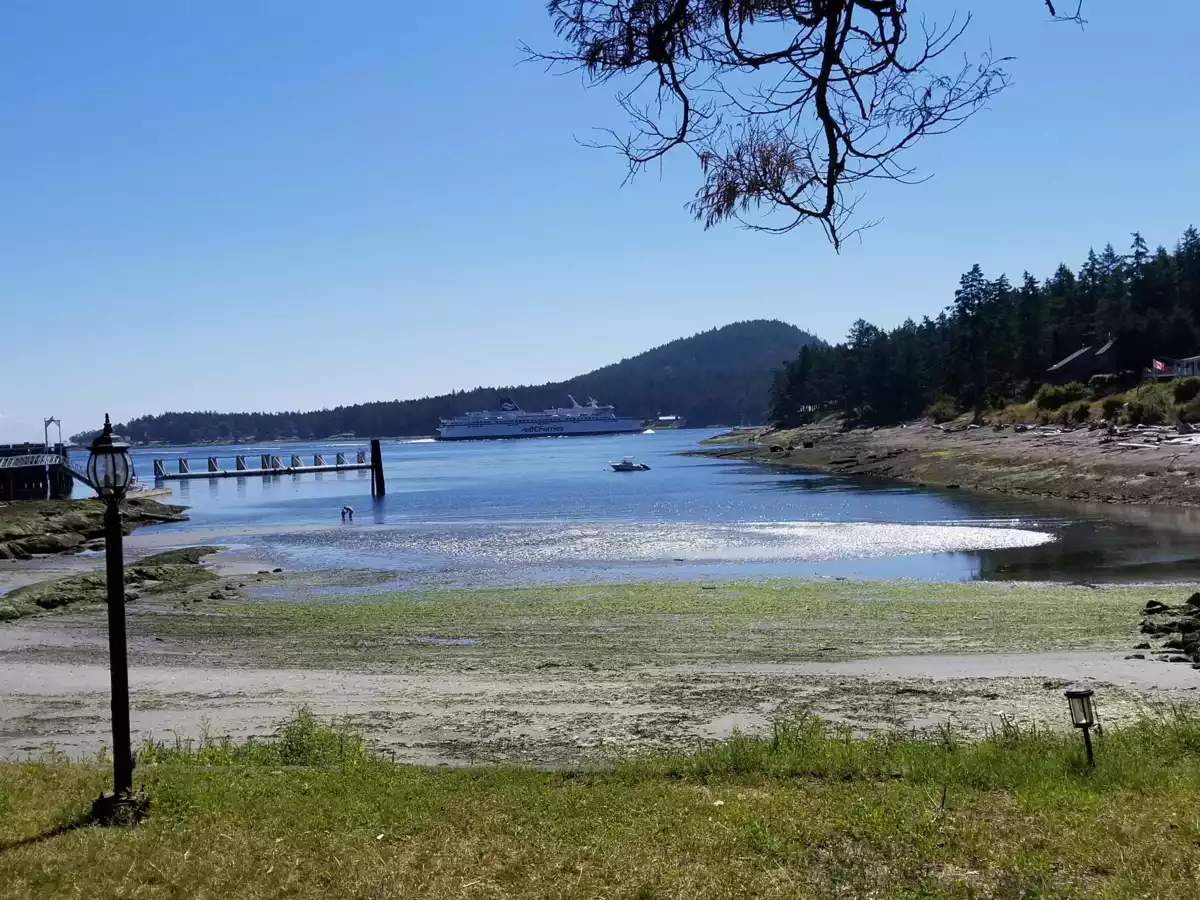 Walk-In Closet Photo of 23-D 134 Madrona Road, Galiano Island, BC