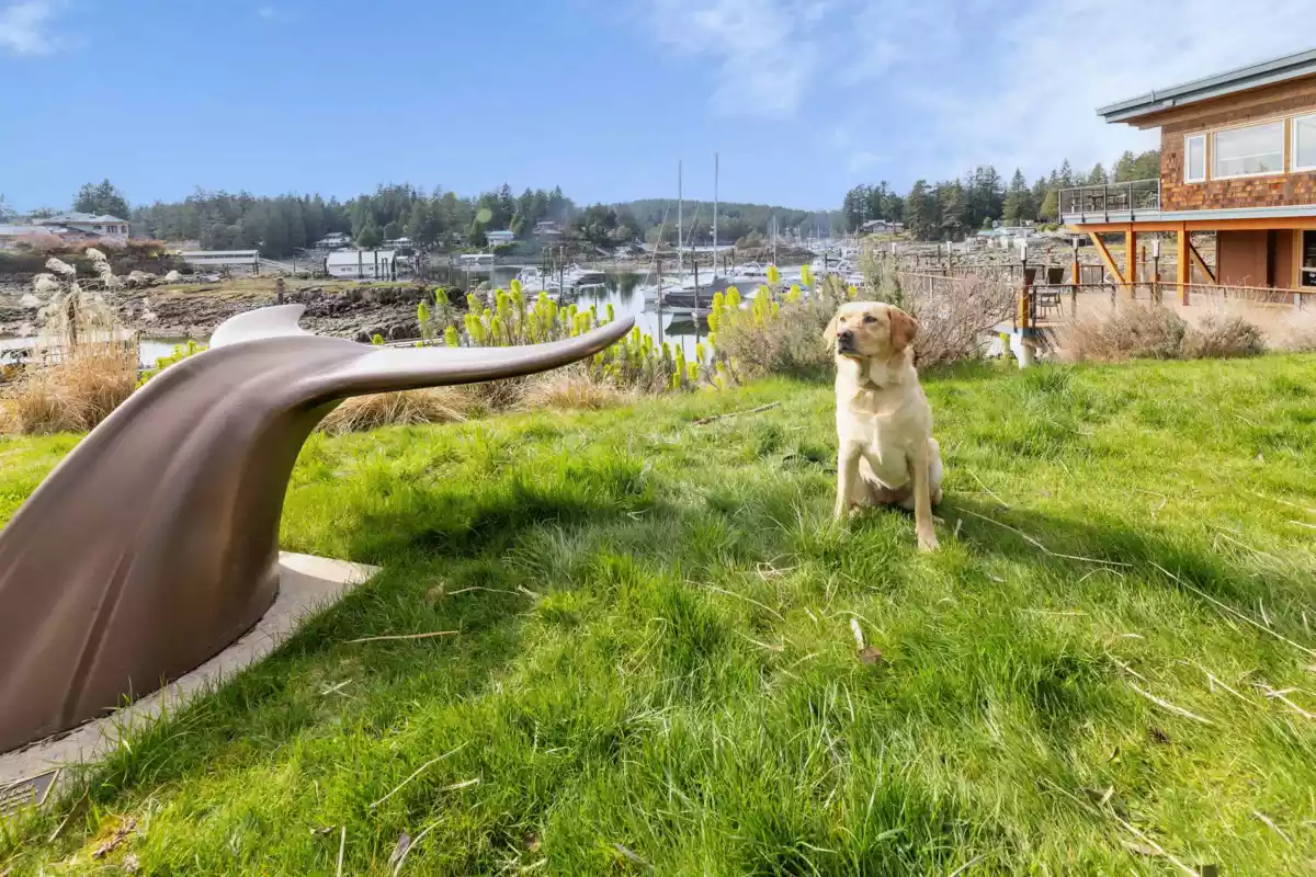 Street View Photo of 1D 12849 Lagoon Road, Madeira Park, BC