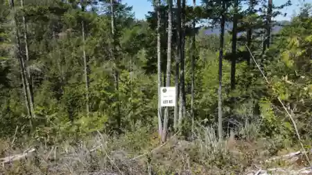 Lot 3 13803 Lee Road, Pender Harbour, BC, Pender harbour — Land for sale