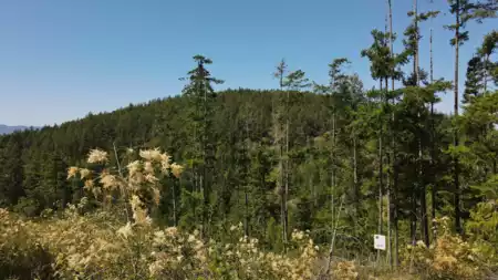 Lot 3 13803 Lee Road, Pender Harbour, BC, Pender harbour — Land for sale