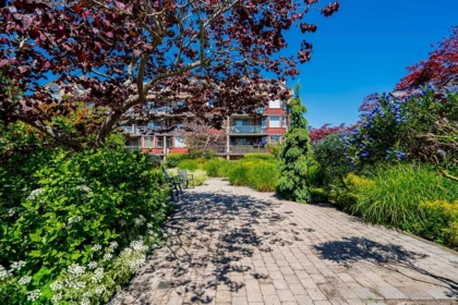 A205 4811 53 Street, Ladner, BC, Ladner — Apartment/Condo for sale