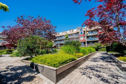 A205 4811 53 Street, Ladner, BC, Ladner — Apartment/Condo for sale
