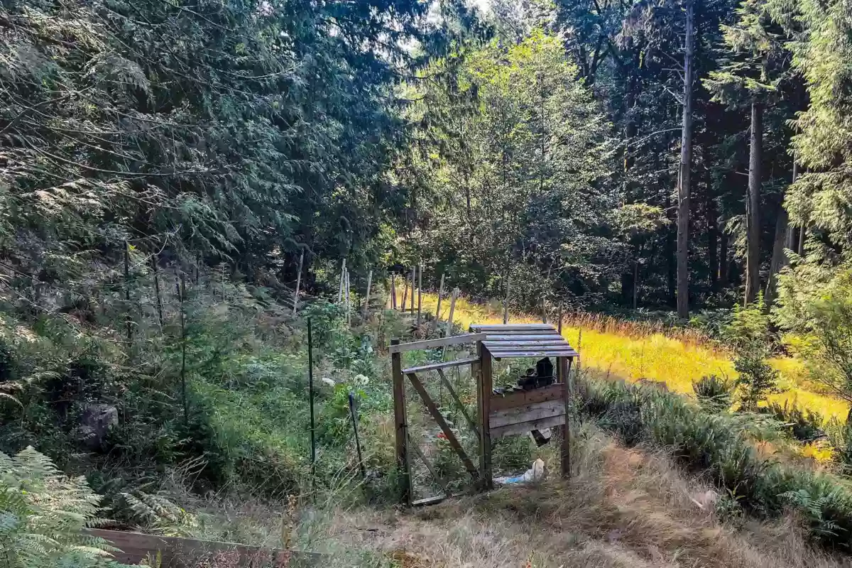 Aerial View of 1380 Fernie Road, Bowen Island, BC