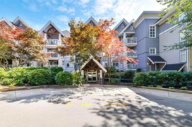 208 1420 Parkway Boulevard, Coquitlam, BC V3E 3J6, Coquitlam, BC, V3E 3J6