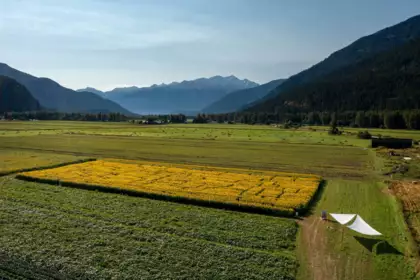 Backyard Photo of 7634 Seven O'clock Drive, Pemberton, BC