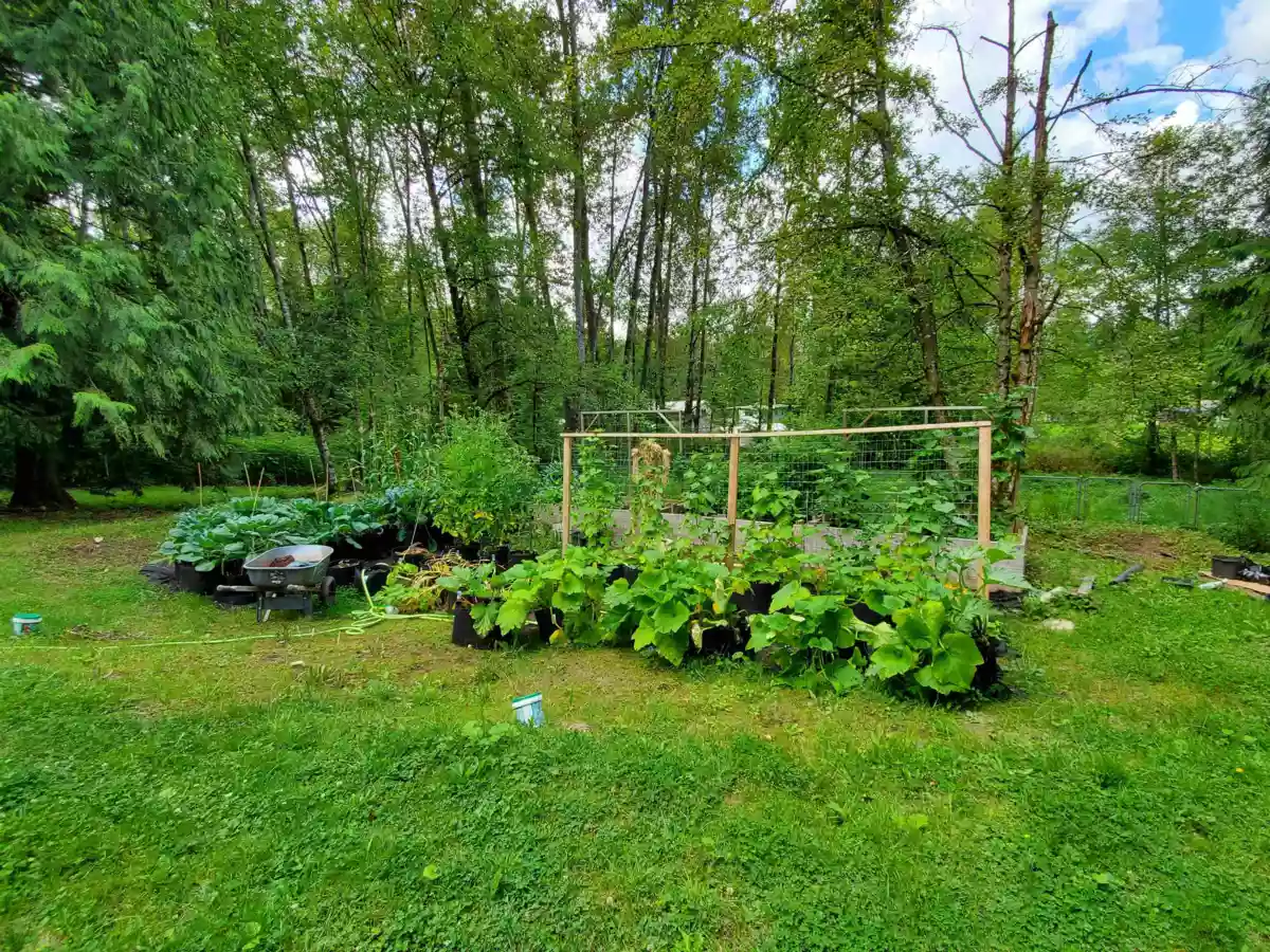 Backyard Photo of 25855 112 Avenue, Maple Ridge, BC