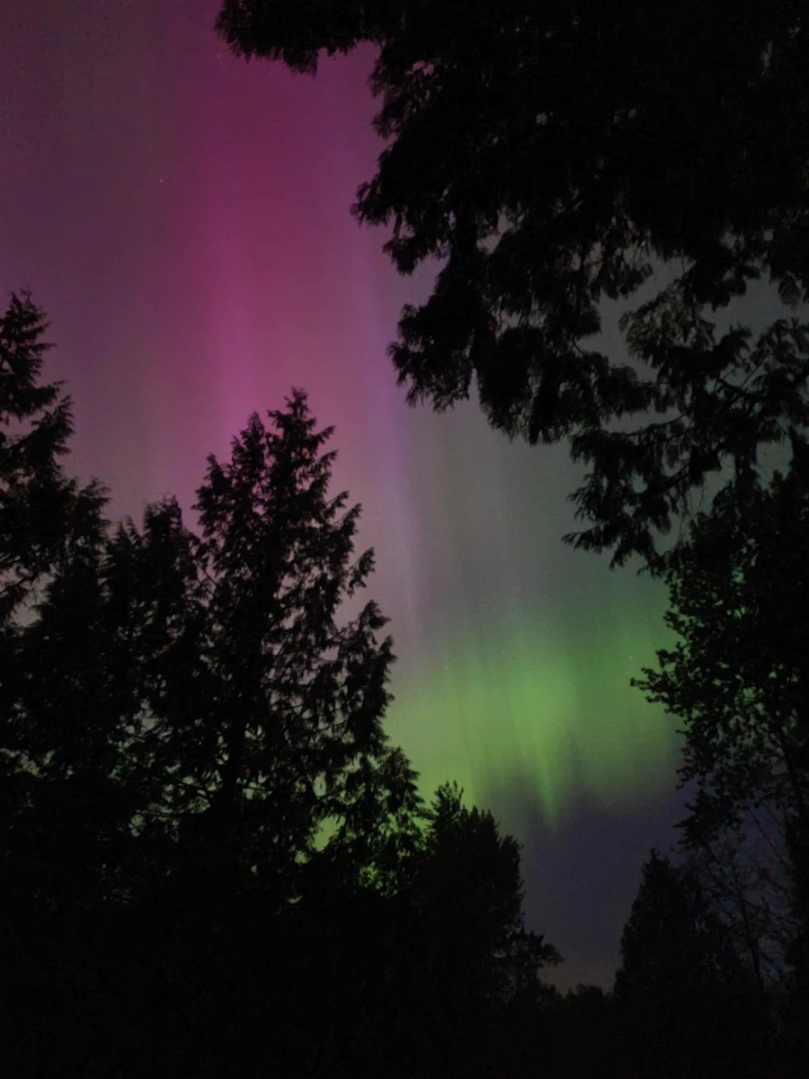Entry Foyer Photo of 25855 112 Avenue, Maple Ridge, BC