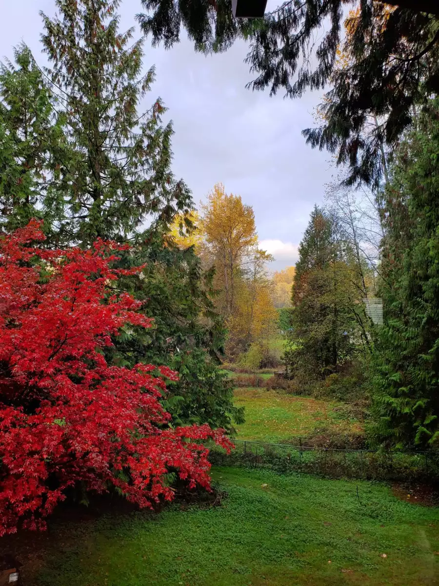 Hallway Photo of 25855 112 Avenue, Maple Ridge, BC