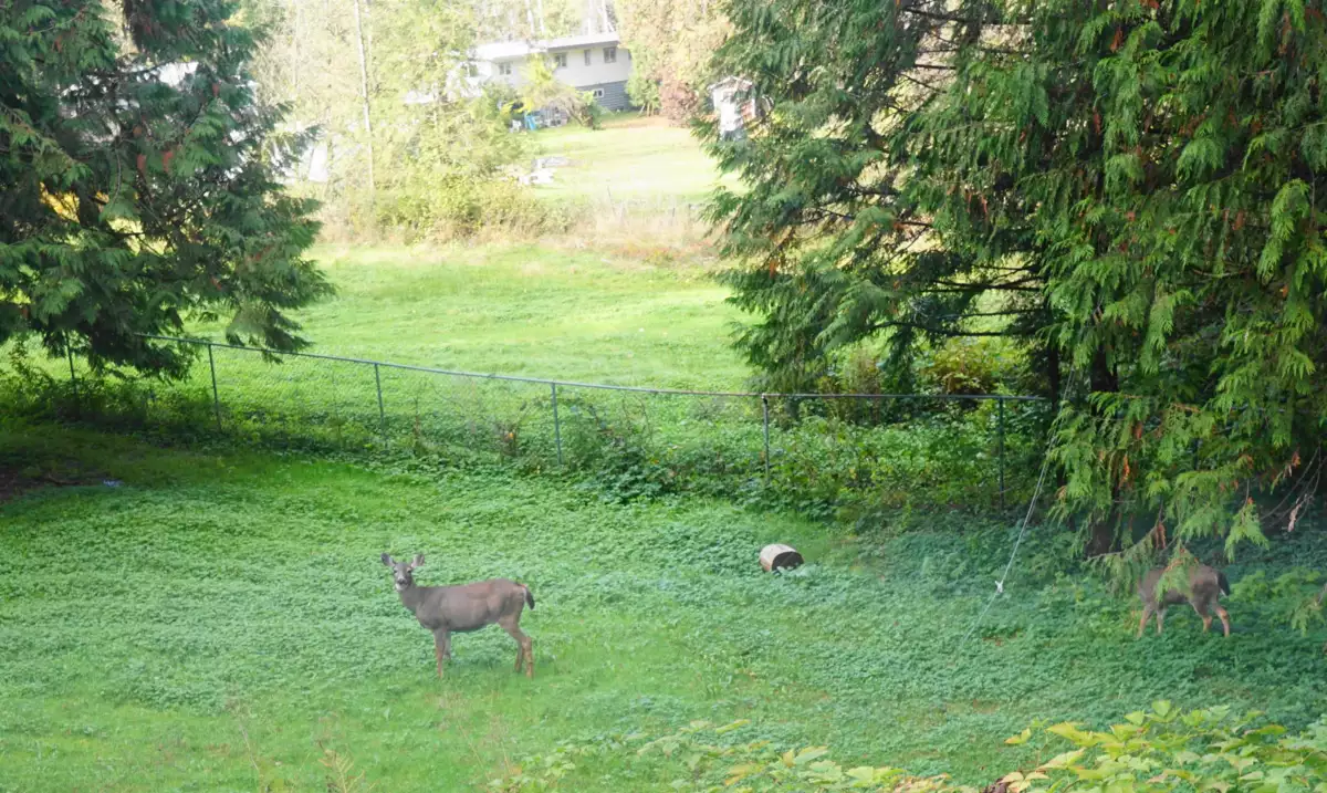 Mudroom Photo of 25855 112 Avenue, Maple Ridge, BC