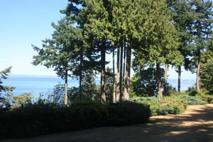 12581 16 Avenue, Surrey, BC, Surrey — 4 bed single family residence for sale