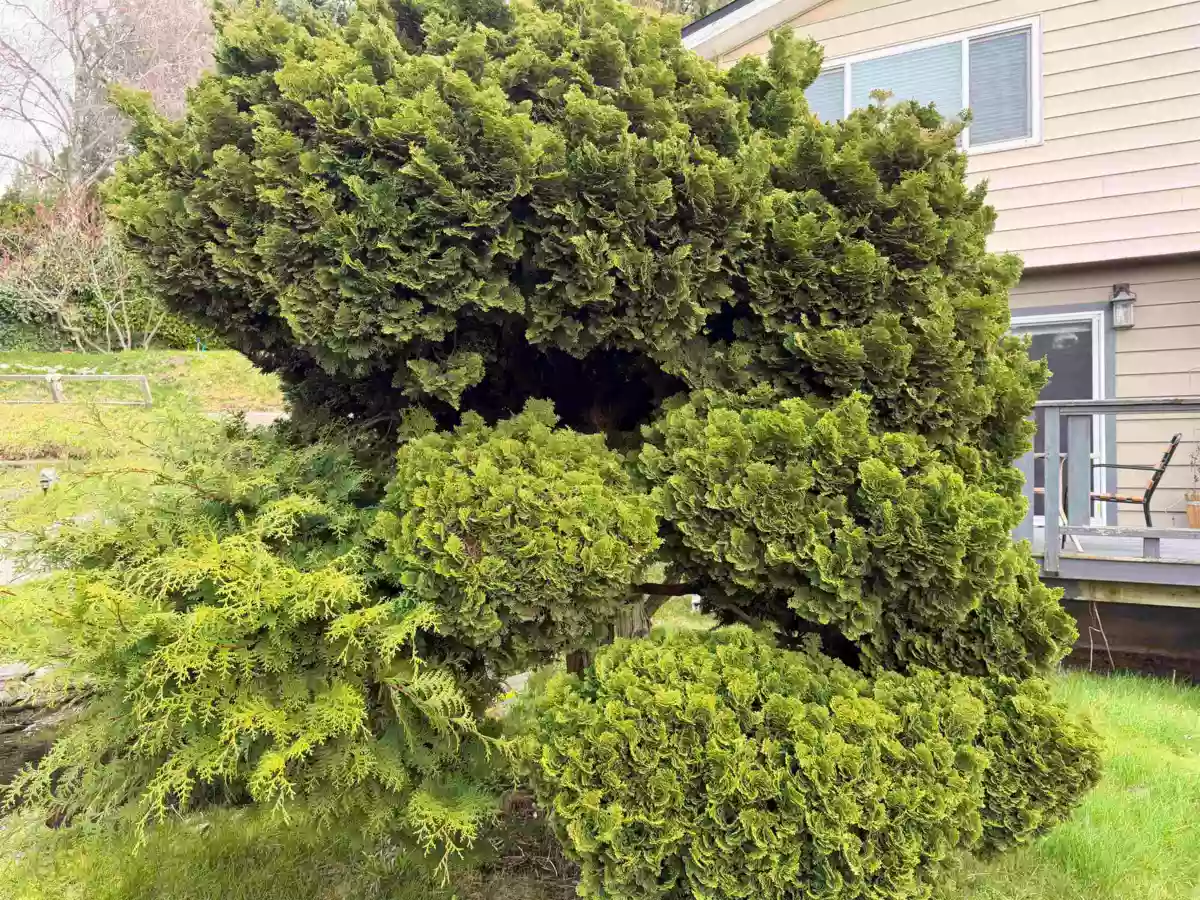 Garage Interior Photo of 4898 Sunshine Coast Highway, Sechelt, BC