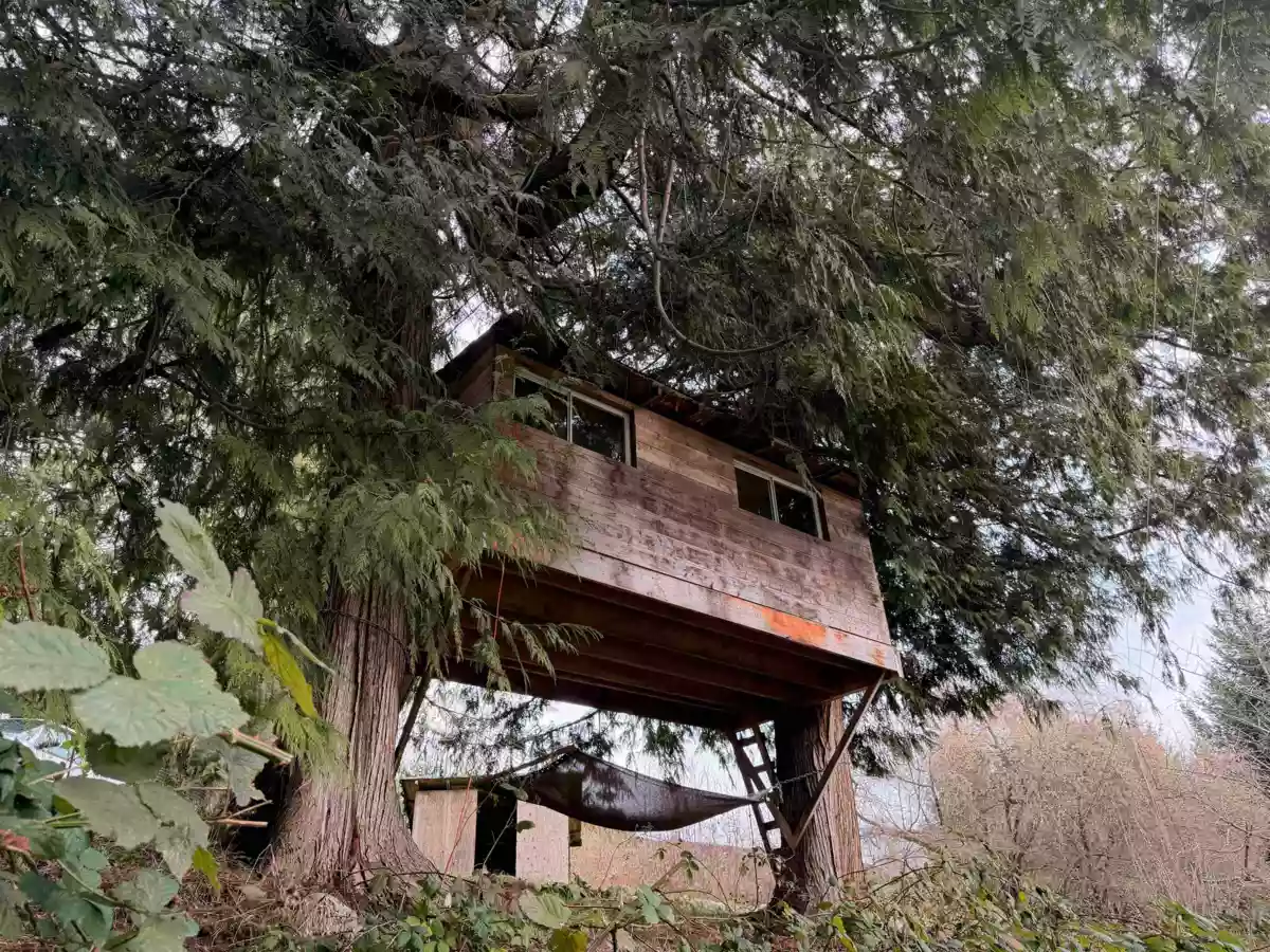 Mudroom Photo of 4898 Sunshine Coast Highway, Sechelt, BC