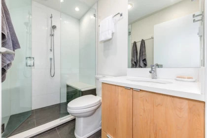 Laundry Room Photo of 2748 Coyote Place, Whistler, BC