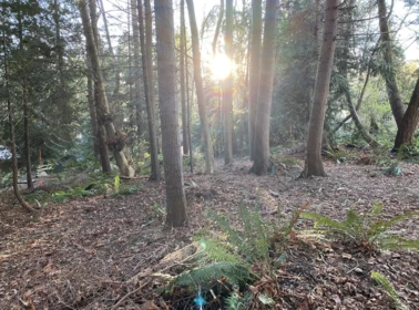 Primary Bedroom Photo of Lot B 1533 Grandview Road, Gibsons, BC