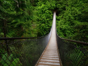 Fitness Center Photo Near 1555 Burrill Avenue, North Vancouver, BC