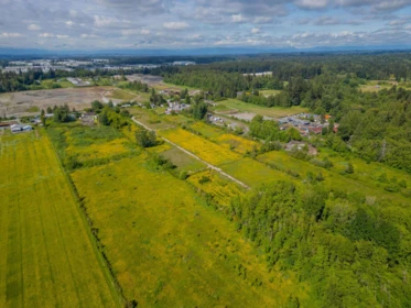Primary Bedroom Photo of 18952 16th Avenue, Surrey, BC