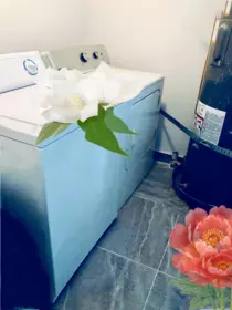 Guest Bathroom Photo of 4313 E Miller Street, Vancouver, BC